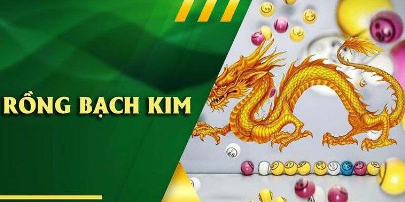 Rồng Bạch Kim là công cụ hỗ trợ hữu ích cho lô thủ, đề thủ