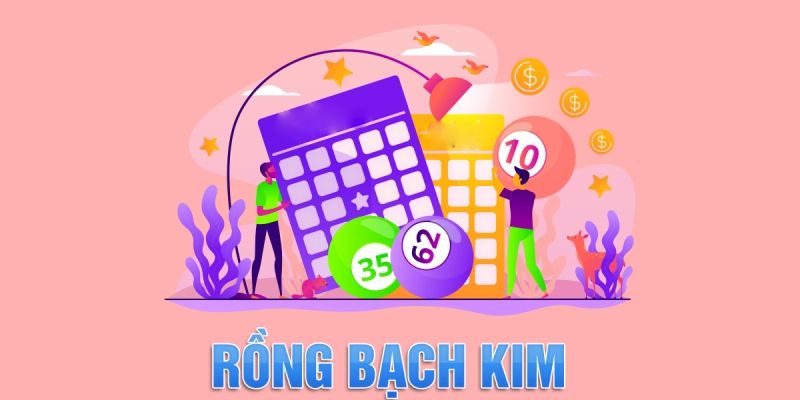 Rồng Bạch Kim hỗ trợ thống kê kết quả xổ số nhanh chóng, rõ ràng