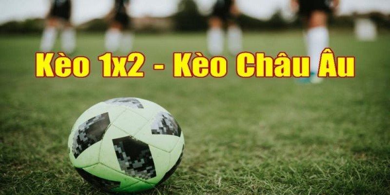 Hướng dẫn cách đọc kèo bóng đá 1X2 đơn giản, dễ hiểu