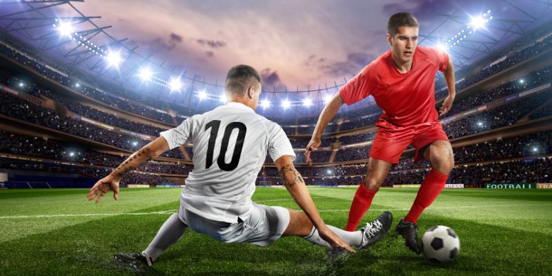 Nhiều người thường đánh giá chủ quan khi cá độ